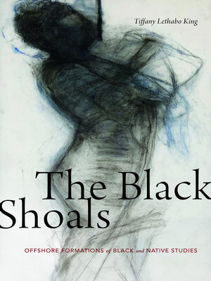 cover image of The Black Shoals
